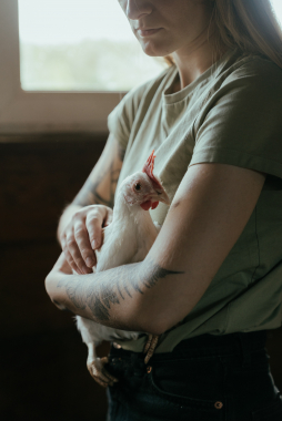 Technical bulletin : Sheep handling